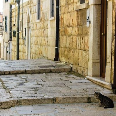 cosa-visitare-a-minervino-murge