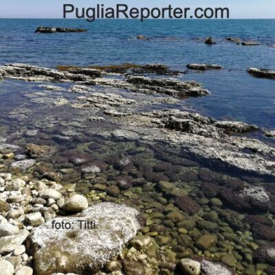 bassa marea bisceglie 2021