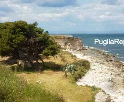 trani spiaggia le conche