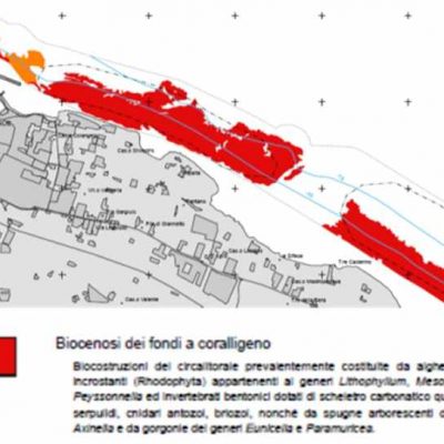 Biomap biocenosi fondi coralli bisceglie