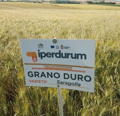 Iperdurum campi sperimentali la visita