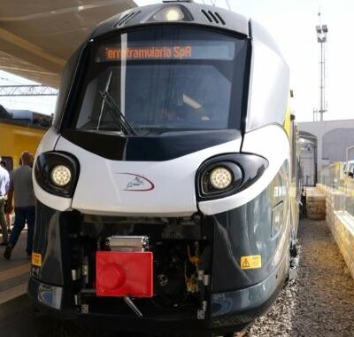 nuovi treni fal (10)