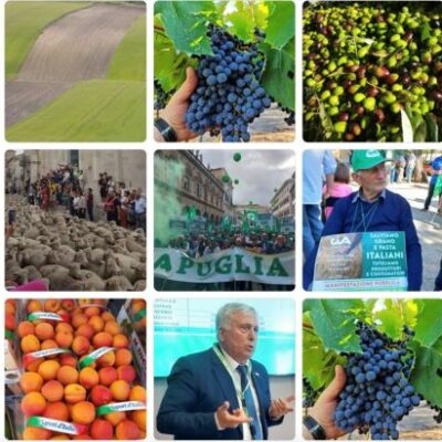agricoltura Puglia ph