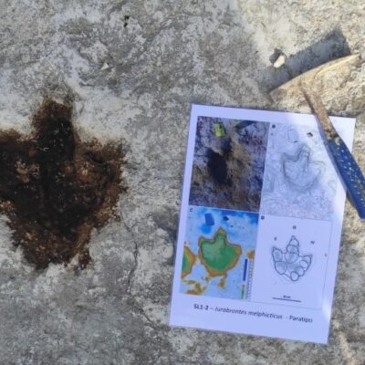 impronte di dinosauro cava san leonardo molfetta puglia