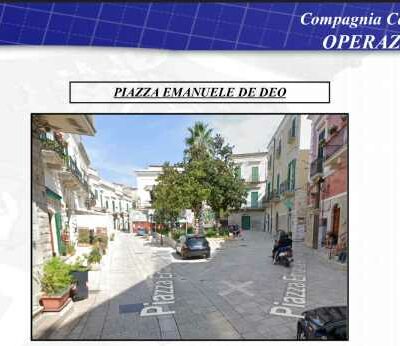 minervino murge(1)