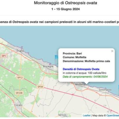 molfetta alga tossica monitoraggio giugno 2024