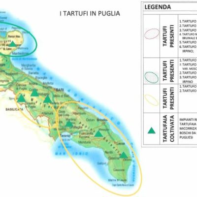CARTINA TARTUFI PUGLIA